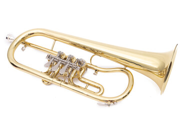 Obraz na płótnie Canvas New trumpet isolated above white background