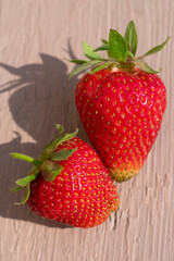 Vertical format of close-up view of macro two ripe strawberries on wooden background. Long shadows on hard sunlight.