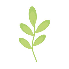branch with leafs spring ecology season foliage vector illustration design