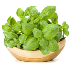 Sweet basil leaves in wooden bowl isolated on white background cutout.