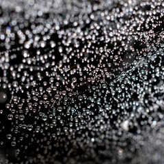 A lot of small water drops on spiderweb as black and white natural background. Square format,...