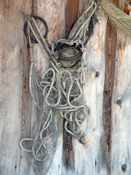 Old fishing net is hanging on the wood wall