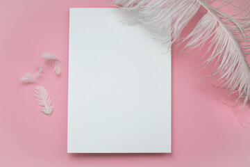 Minimalistic light background in pink tones. A white sheet of paper on a pink background, feathers around it. Gentle, fluffy and romantic.