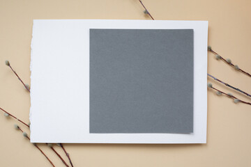 Abstract spring background with willow branches. Grey sheet of paper on white sheet and beige background