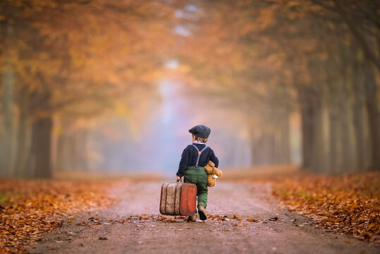 Little Boy Is Walking In The Forest With A Suitcase As Trawelling In Autumn Colors From Behind