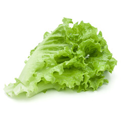 fresh green lettuce salad leaves isolated on white background