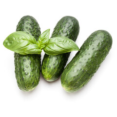 Cucumber vegetable and basil leaves isolated on white background cutout