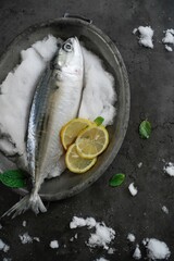 Fresh Mackerel placed on snow, overhead view with copy space