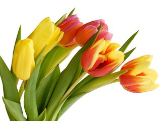 Naklejka premium pretty bouquet of multicolor tulips close up