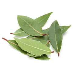 Obraz premium Aromatic bay leaves
