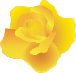 Yellow Rose Graphic