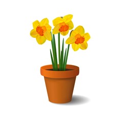 Naklejka na ściany i meble Spring daffodils in a ceramic flower pot