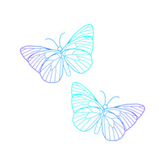 butterfly vector, can be used as a logo or t-shirt design or clothing