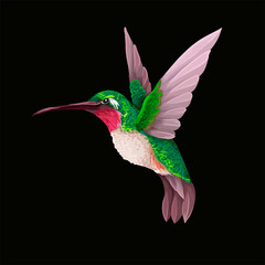 Hummingbirds isolated. Trendy vector print.