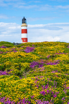 Point Of Ayre Lighthouse