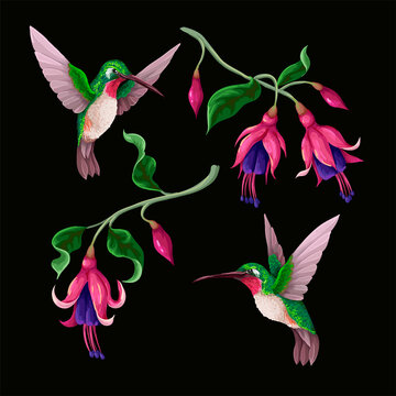 Hummingbirds and tropical flowers isolated. Trendy vector print