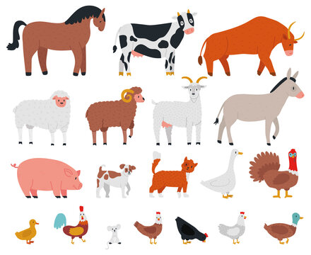 Farm animals. Livestock and cute pets, horse, cow, bull, goat, dog, goose and pig. Village domestic animals cartoon vector illustration set. Cow and rabbit, dog and chicken, livestock rooster