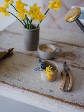 Blumen werden für die Vase geschnitten und dabei ein Kaffee getrunken