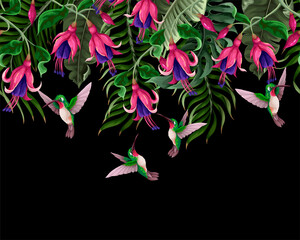 Fototapety  Border with hummingbirds and tropical flowers. Trendy vector print.