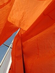 Yacht sail filled with wind, developing, Beautiful (coloring) colors of the sail, Spinnaker, fordewind
