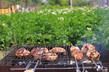 shish kebab on the grill