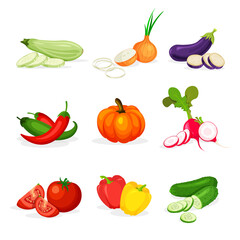 Set of different vegetables in in a trendy cartoon style. Fresh whole, half, cut slice and piece of vegetable isolated on white background. Healthy food concept.	