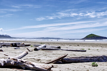 Fototapeta na wymiar Lots of driftwood on the Long Beach near Tofino, Vancouver Island