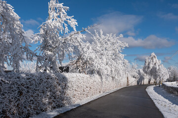 Fototapeta na wymiar Eisige wunderschöne Kristall Landschaft im Winterwonderland Eifel 