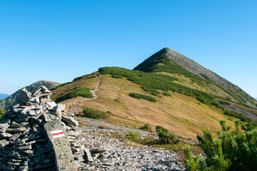 pointers in the mountains for hiking on a sunny day