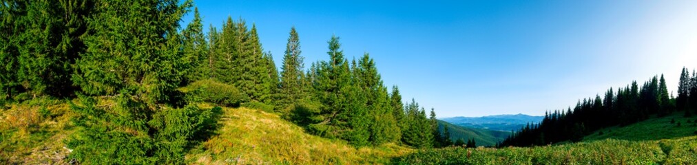 Panorama of a tourist tent on a green meadow on a background of forests and peaks