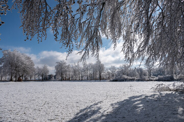 Eisige wunderschöne  Kristall Landschaft im Winterwonderland Eifel
