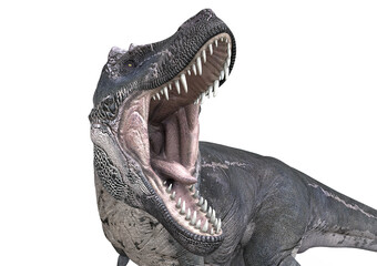 T-Rex, Tyrannosaurus rex, Mouth wide open, 3D-Rendering © Martin