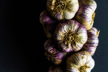 String of garlic, copyspace to left.