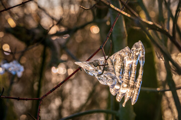 icicles colored by sunlight