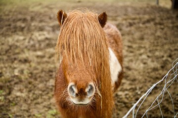 Fototapeta premium Kein Frisör