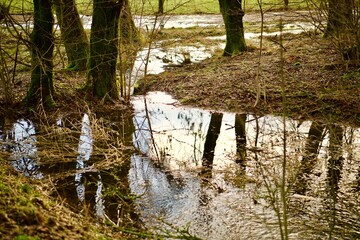 Regen
