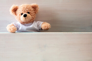 Teddy bear on white wood wall background,