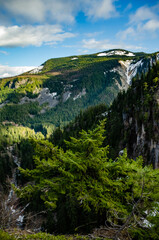 Obraz premium High mountains covered with dense forest, a lake in the distance. Montana
