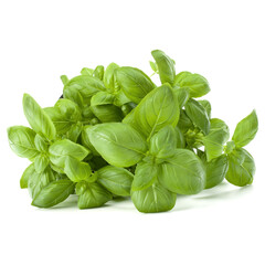 Sweet basil leaves isolated on white background cutout.