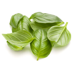 Sweet basil herb leaves handful isolated on white background closeup