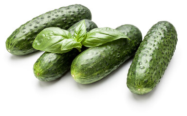 Cucumber vegetable and basil leaves isolated on white background cutout
