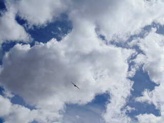 El cielo y el cóndor