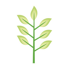 branch with leafs spring ecology season foliage icon vector illustration design