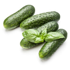 Cucumber vegetable and basil leaves isolated on white background cutout