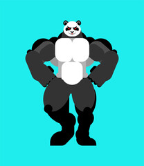 Strong panda. powerful chinese bear. vector illustration
