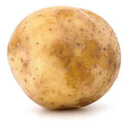 new potato tuber isolated on white background cutout