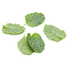 Peppermint herb isolated on white background cutout. Mint leaves.