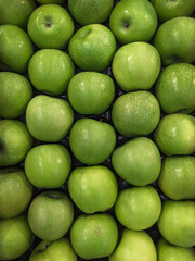 Background from a large number of green apples. Background from fruits on a shop window. Harvest green apples.