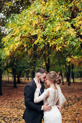 Fototapeta premium newlyweds walk in the autumn park