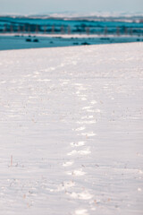footprints in the snow